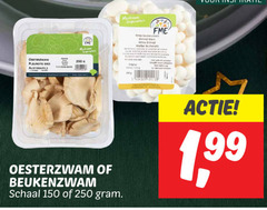  150 250 oesterzwam mushroom witte blanc beukenzwam schaal 1 99 