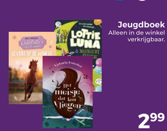  charlottes stroom gevaar manege lottie luna meisje vlieger jeugdboek 