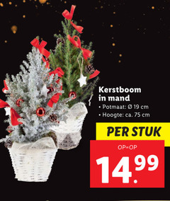  19 kerstboom mand potmaat cm hoogte ca. stuk 