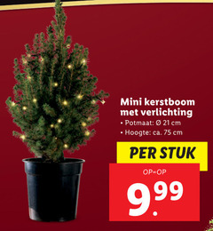  mini kerstboom verlichting potmaat cm hoogte ca. stuk 