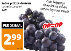  500 sable pitloze druiven schaal zoete knapperige donkerblauwe tropische kilo 