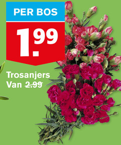  bos trosanjers 