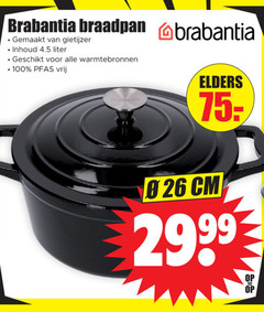  100 brabantia braadpan gemaakt gietijzer inhoud liter warmtebronnen vrij elders cm 