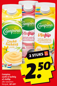  2 10 250 campina anno zacht luchtig vanille camping vlaflip halfvolle yoghurt frambozenvla bosvruchtensaus frisse vla vanillesmaak rode vruchtensaus variatie stuks 