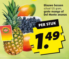  blauwe bessen schaal mango monte ananas stuk 