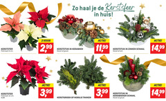  2 6 15 kerstsfeer huis kerstster potmaat cm 99 kerststuk keramiek rood goud 4 3 kerstgroen nobilis takken 11 zinken schaal wit 14 keramieken 