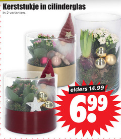  2 kerststukje cilinderglas elders 