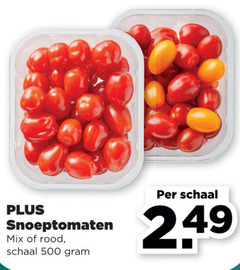  cherry tomaten 500 snoeptomaten mix rood schaal 