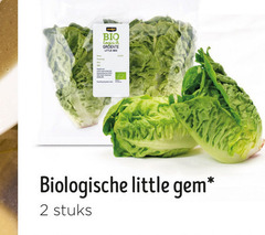  2 bio logisch groente little biologische stuks 