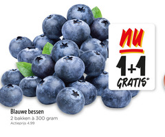  blauwe bessen 1 2 4 300 bakken actieprijs 