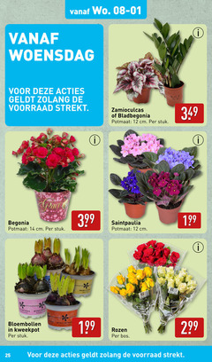  begonia kamerplanten 12 14 25 woensdag bladbegonia potmaat cm stuk narcissus bloemen hyacint rosa bloembollen kweekpot hyacinthus paars lila purple rozen bos be 