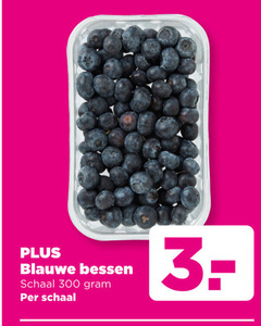  blauwe bessen 300 schaal 