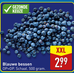  blauwe bessen 500 schaal xxl 