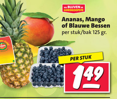  mango ananas blauwe bessen monte gold stuk bak 