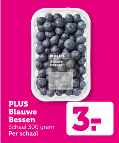  blauwe bessen 300 schaal 