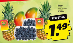  mango ananas blauwe bessen monte gold schaal stuk 