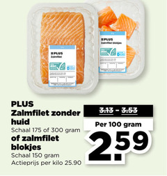  zalmfilet 100 150 300 blokjes huid schaal actieprijs kilo 