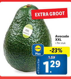  avocado 17 19 xxl produce jan stuk 