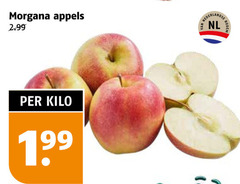  appels morgana nederlands nl bodem kilo 