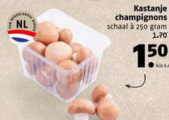  kastanjechampignons 150 250 nederlandse nl bodem kastanje champignons schaal kilo 