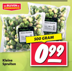  spruitjes 500 kleine spuiten spruiten 