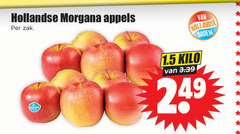  appels hollandse morgana zak bodem kilo 