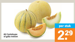  cantaloupe galia meloen stuk 