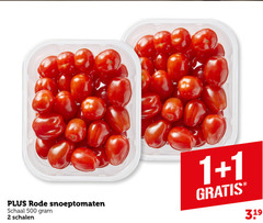  cherry tomaten 1 2 500 rode snoeptomaten schaal schalen 