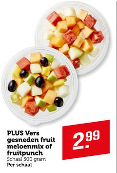  fruitsalade 500 vers gesneden fruit meloenmix fruitpunch schaal 