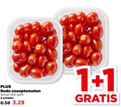  cherry tomaten 1 2 500 rode snoeptomaten schaal schalen 