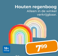  houten speelgoed regenboog 18 mnd 