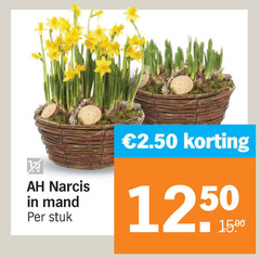  narcissen narcis mand stuk 