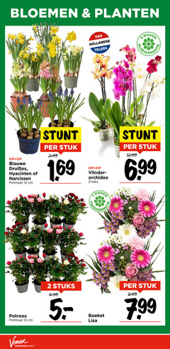  hyacinten blauwe druifjes narcissen 2 8 12 bloemen planten hollandse telers weken potmaat cm stuk vlinder orchidee 6 99 dagen potroos stuks boeket lisa 