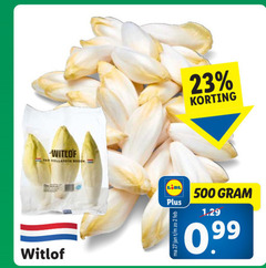  witlof 23 500 hollandse 