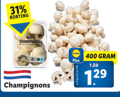  champignons 2 31 400 witte hollandse jan 