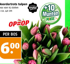  tulpen 15 40 noorder noordertrots bos stelen ca. cm trots 10 munten supermarkten 60 