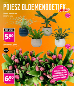  tulpen 12 15 25 34 40 week groene planten mix potmaat cm hoogte ca. stuk 00 50 noordertrots bos stelen noorder trots 60 spaar 