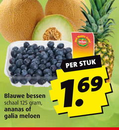  meloen ananas blauwe bessen schaal galia stuk 