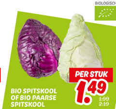  spitskool biologisch bio paarse stuk 