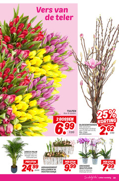  tulpen areca palm 1 2 9 12 23 24 25 150 vers teler bos stelen bossen bloesemtakken varieeren perzikbloesem potmaat cm hoogte pot stuk arrangement bollenmix houten bakje orchidee multiflora kleuren eten 