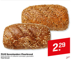  brood korenlanders vloerbrood donker volkoren zonnepit gesneden 