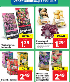  3 5 8 30 40 woensdag wire veste handy pape mix gouden vaste plassen hardy pen der nice 20cm 60cm solanum mars piper seed 25cm planten bollenmix plantuien pootaardappelen varieeren 1 99 hq6990 00 quality color collection bloembollenmix 2x blue dragon luxe bloembollen lelies zomerplanten monarda scarlet 