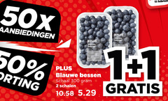  blauwe bessen 1 2 11 50 300 schaal schalen 