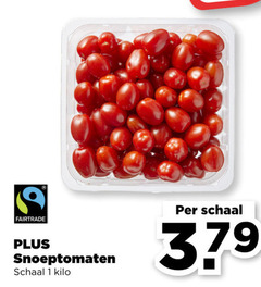  cherry tomaten 1 379 fairtrade snoeptomaten schaal kilo 