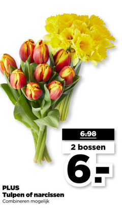  2 6 tulpen narcissen combineren bossen 