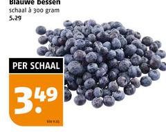  blauwe bessen 300 schaal kilo 