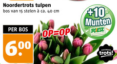  15 40 600 noordertrots tulpen bos stelen ca. cm 10 munten supermarkten noorder trots 