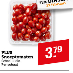  cherry tomaten 1 11 snoeptomaten schaal kilo 