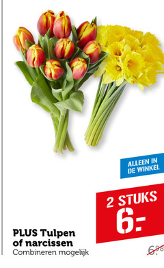  2 tulpen narcissen combineren stuks 