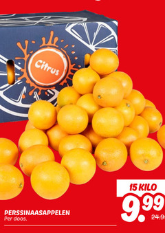  perssinaasappelen 15 citrus doos kilo 